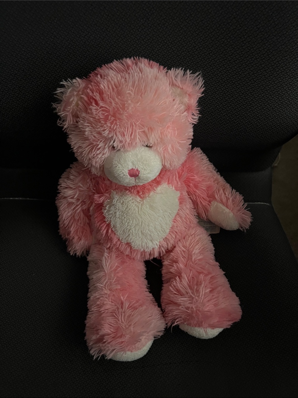 Build-A-Bear Pink Plush Teddy with White Heart